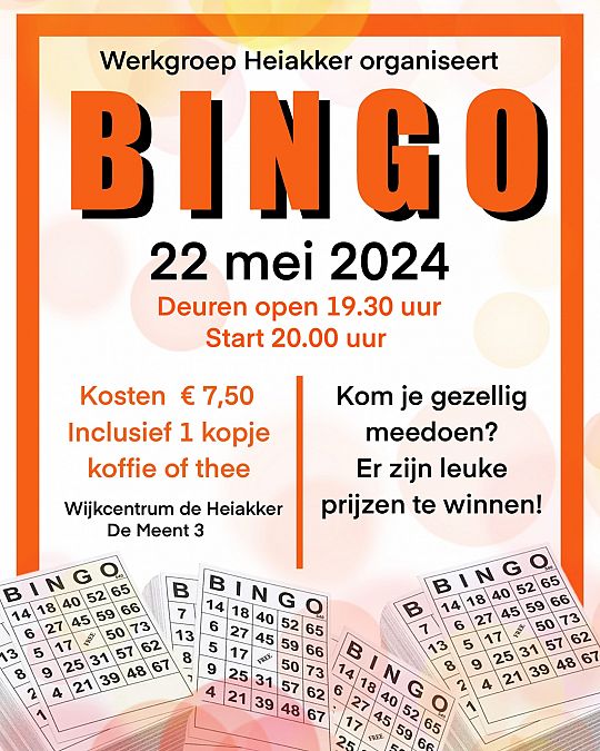 Bingo-1713342535.jpg