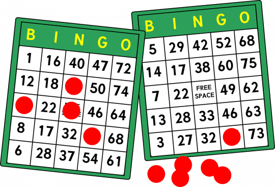 bingo-01713342526.png